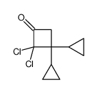 2,2-dichloro-3,3-dicyclopropylcyclobutan-1-one结构式