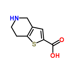 4,5,6,7-四氢噻吩[3,2-C]吡啶-2-羧酸结构式