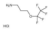 3-(Pentafluoroethoxy)-1-propanaminium chloride Structure