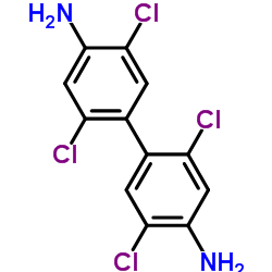 2,2',5,5'-Tetrachloro-4,4'-biphenyldiamine Structure