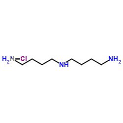 syM-HomosperMidine Trihydrochloride Structure