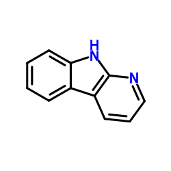 9H-pyrido[2,3-b]indole Structure