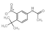 Acetamide,N-[4-(1,1-dimethylethyl)-3-nitrophenyl]- Structure