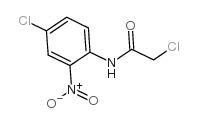 2-chloro-N-(4-chloro-2-nitrophenyl)acetamide Structure