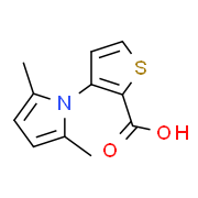 3-(2,5-二甲基-1H-吡咯-1-基)噻吩-2-羧酸结构式
