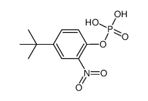 4-(tert-butyl)-2-nitrophenyl dihydrogen phosphate结构式