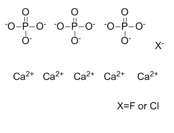 calcium chloride fluoride phosphate structure