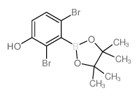 2,4-二溴-3-(4,4,5,5-四甲基-1,3,2-二噁硼烷-2-基)苯酚结构式