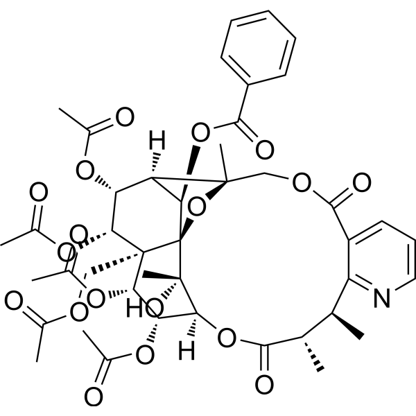 Cangorinine- E-I Structure