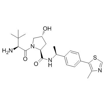 E3连接酶配体1A图片