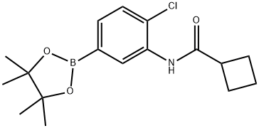N-[2-chloro-5-(4,4,5,5-tetramethyl-1,3,2-dioxaborolan-2-yl)phenyl]cyclobutanecarboxamide Structure