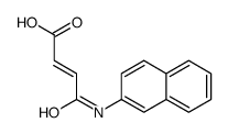 (2E)-4-(2-Naphthylamino)-4-oxo-2-butenoic acid Structure