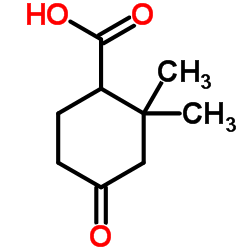 2,2-Dimethyl-4-oxocyclohexanecarboxylic acid structure