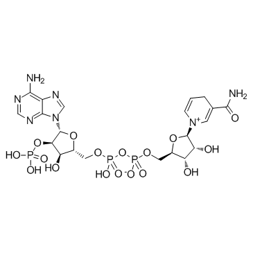 烟酰胺腺嘌呤双核苷酸磷酸盐结构式