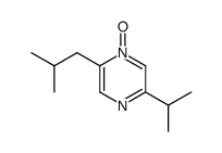 5-(1-methylethyl)-2-(2-methylpropyl)pyrazine-1-oxide Structure
