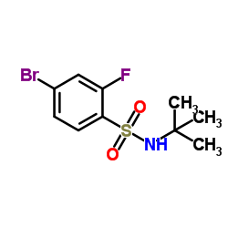 4-溴-N-(叔-丁基)-2-氟苯磺酰胺结构式