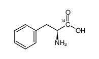 l-phenylalanine, [14c(u)]结构式