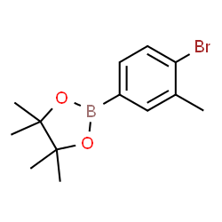 4-Bromo-3-methylphenylboronic acid pinaco ester picture