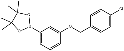 2-{3-[(4-chlorophenyl)methoxy]phenyl}-4,4,5,5-tetramethyl-1,3,2-dioxaborolane Structure