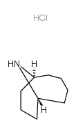 10-Azabicyclo[4.3.1]decane hydrochloride Structure