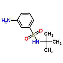 N-叔丁基-3-氨基苯磺酰胺结构式