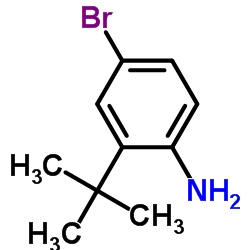 4-溴-2-叔丁基苯胺结构式