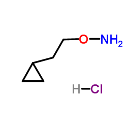 2-环丙基乙氧基胺盐酸盐结构式