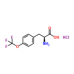 (S)-2-氨基-3-(4-(三氟甲氧基)苯基)丙酸盐酸盐结构式