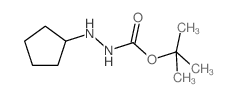 2-环戊基肼羧酸 1,1-二甲基乙酯结构式