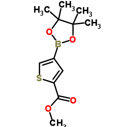 4-(4,4,5,5-四甲基-2-1,3,-二噁硼烷基)噻吩2-甲酸甲酯结构式