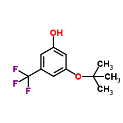 3-(叔-丁氧基)-5-(三氟甲基)苯酚结构式
