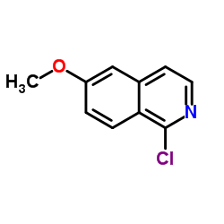 1-Chloro-6-methoxyisoquinoline picture