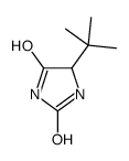 5-tert-butylimidazolidine-2,4-dione结构式