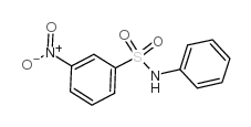 3-硝基-n-苯基苯磺酰胺结构式