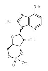 8-羟基腺苷3'：5'-环一磷酸结构式