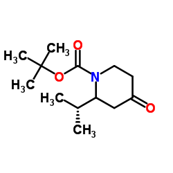 tert-butyl 4-oxo-2-propan-2-ylpiperidine-1-carboxylate Structure