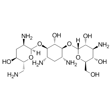 Tobramycin picture