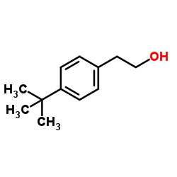 2-[4-(2-Methyl-2-propanyl)phenyl]ethanol Structure