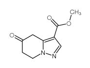 5-氧代-4,5,6,7-四氢吡唑并[1,5-a]吡啶-3-羧酸甲酯结构式
