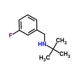 N-(tert-butyl)-N-(3-fluorobenzyl)amine结构式