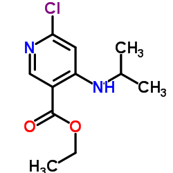 Ethyl 6-chloro-4-(isopropylamino)nicotinate Structure