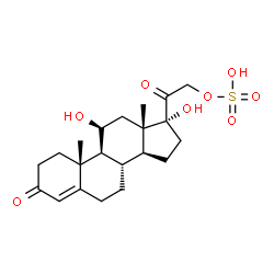 Cortisol sulfate picture