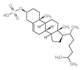 胆甾醇硫酸盐结构式