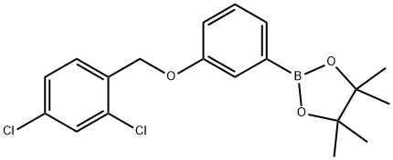 2-{3-[(2,4-dichlorophenyl)methoxy]phenyl}-4,4,5,5-tetramethyl-1,3,2-dioxaborolane Structure