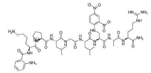 N2-(2-氨基苯甲酰)-L-赖氨酰-L-脯氨酰-L-亮氨酰甘氨酰-L-亮氨酰-3-[(2,4-二硝基苯基)氨基]-L-丙氨酰-L-丙氨酰-L-精氨酰胺图片