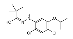 2'-[2,4-dichloro-5-(1-methylethoxy)phenyl]-2,2-dimethylpropionohydrazide结构式