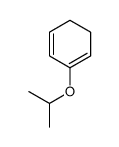 2-propan-2-yloxycyclohexa-1,3-diene结构式