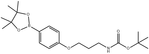 {3-[4-(4,4,5,5-Tetramethyl-[1,3,2]dioxaborolan-2-yl)-phenoxy]-propyl}-carbamic acid tert-butyl ester Structure