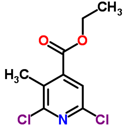 2,6-二氯-3-甲基异烟酸乙酯图片