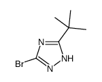 5-溴-3-叔丁基-1H-1,2,4-三唑结构式